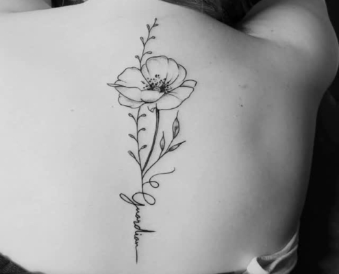 481206261_651455513940614_5909980671026156498_n