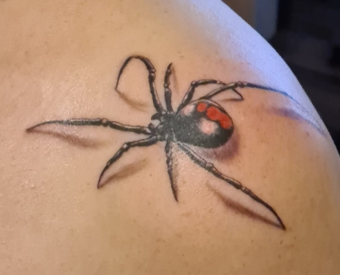 WhatsApp Bild 2025-05-29 um 19.57.53_c3497396