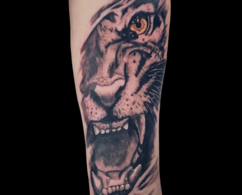 WhatsApp Bild 2025-06-03 um 20.12.35_931dcd7c