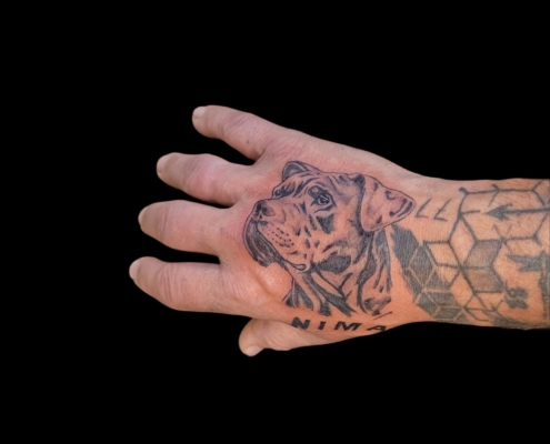 WhatsApp Bild 2025-06-08 um 19.51.55_a265575b