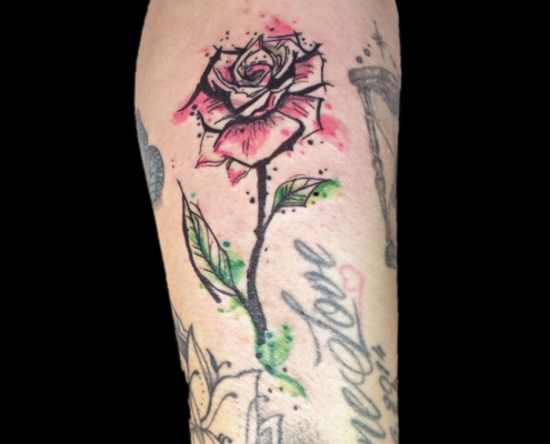 WhatsApp Bild 2025-06-08 um 19.51.59_3d69bd13