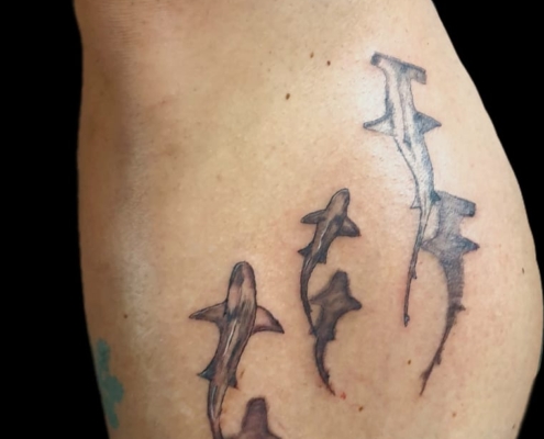 WhatsApp Bild 2025-06-08 um 19.51.59_85797edb