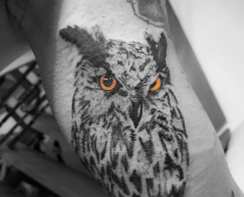 WhatsApp Bild 2025-06-08 um 19.52.03_e2ad9459